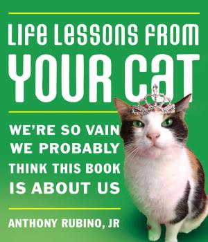Cover of the book Life Lessons From Your Cat by Eric Metaxas