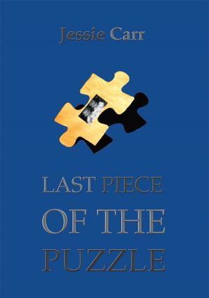 Cover of the book Last Piece of the Puzzle by Donald A. Walbrecht