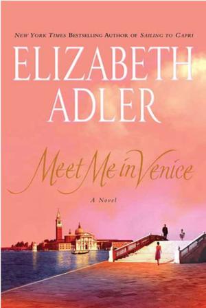 Cover of the book Meet Me in Venice by Lloyd Kaufman, Adam Jahnke, Trent Haaga