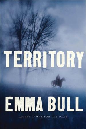 Cover of the book Territory by Stephen R. Donaldson