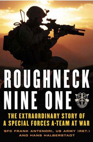 Cover of the book Roughneck Nine-One by Robin Hathaway