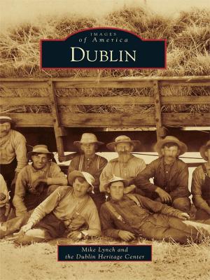 Book cover of Dublin
