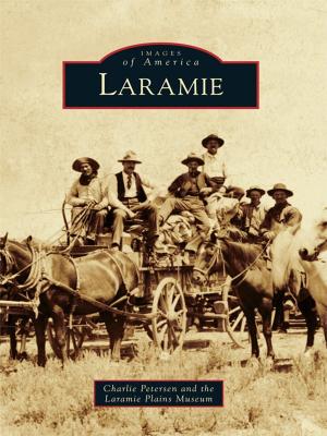 Cover of the book Laramie by L.M. Vincent