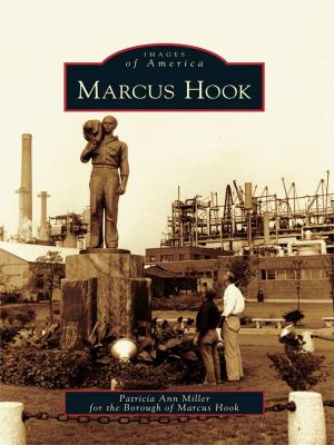 Cover of the book Marcus Hook by Steve Sem-Sandberg