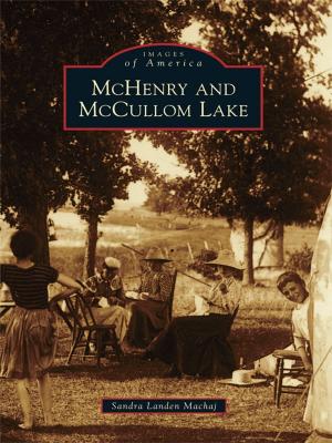 Cover of the book McHenry and McCullom Lake by Peter T. Lubrecht