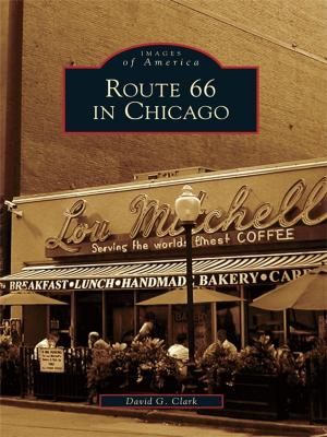 Cover of the book Route 66 in Chicago by Dawn Youngblood PhD