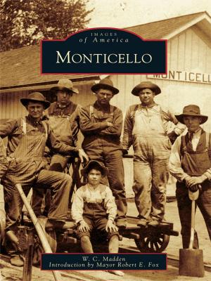 Cover of the book Monticello by Robert Scott Davis