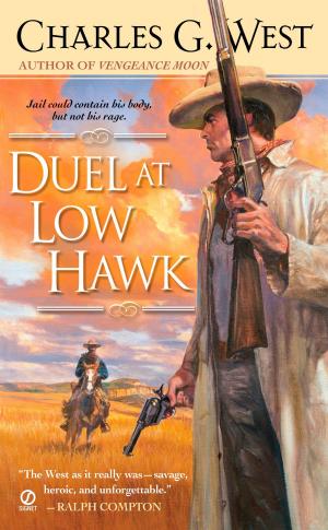 Cover of the book Duel at Low Hawk by Miriam Parker