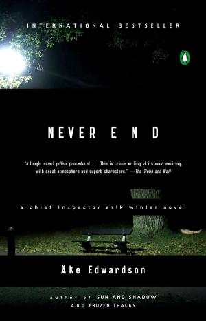 Cover of the book Never End by Rebecca Loncraine
