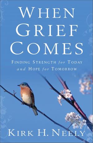 Cover of the book When Grief Comes by Julie Klassen