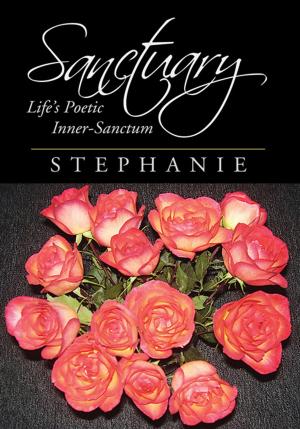 Cover of the book Sanctuary by David Robert Jones