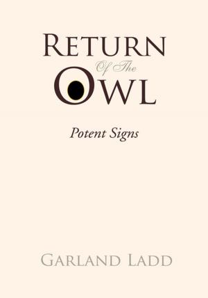 Cover of the book Return of the Owl by Ann Chamberlin