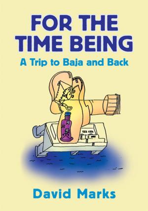 Cover of the book For the Time Being by Todd Walters, Craig Proctor