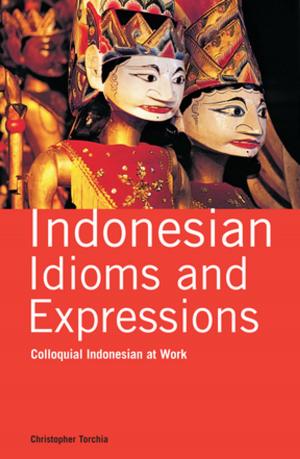 Cover of the book Indonesian Idioms and Expressions by Wolfgang Hadamitzky, Mark Spahn