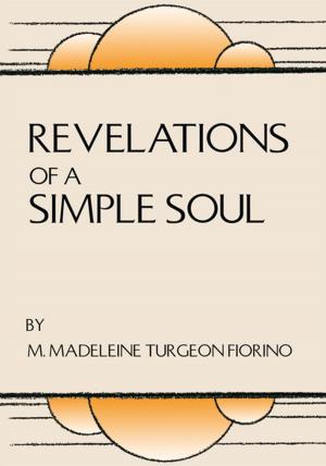 Cover of the book Revelations of a Simple Soul by Izabel E. T. de V. Souza Ph.D.