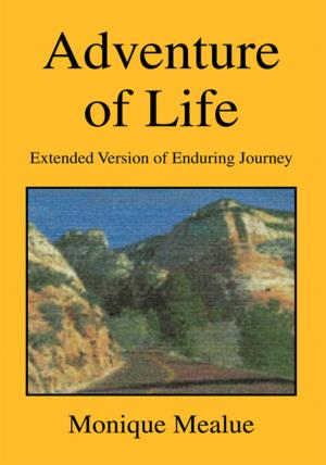 Book cover of Adventure of Life (Extended Version of Enduring Journey)