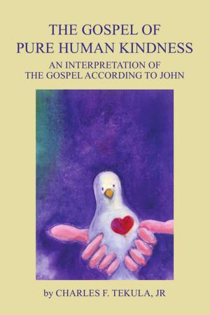 Cover of the book The Gospel of Pure Human Kindness by Annette Rasp