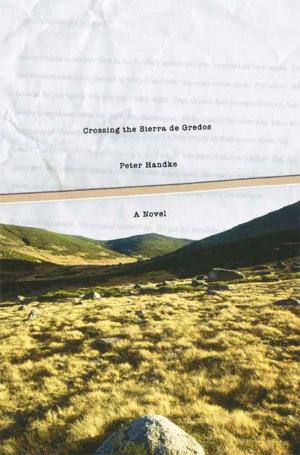 Cover of the book Crossing the Sierra de Gredos by Yvonne Vera
