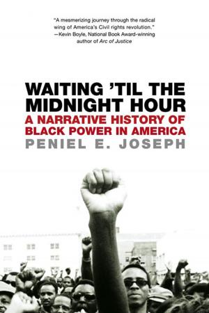 Cover of the book Waiting 'Til the Midnight Hour by Paul Schneider