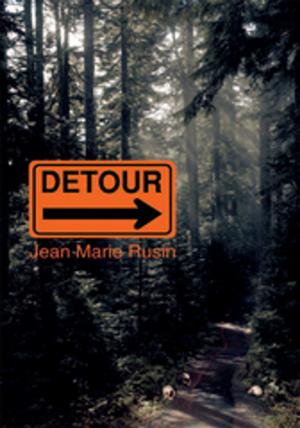 Cover of the book Detour by Patti Militello Garner