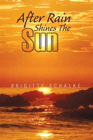 Cover of the book After Rain Shines the Sun by John-Clinton Nsengiyumva