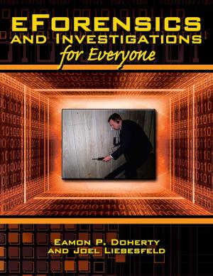 Cover of the book Eforensics and Investigations for Everyone by Larry DeHays