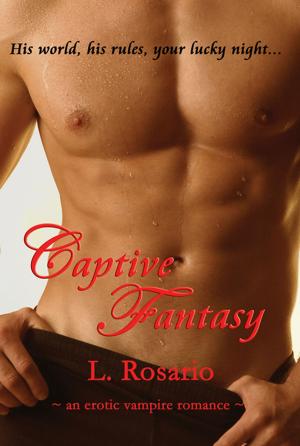 Book cover of Captive Fantasy