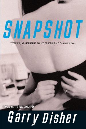 Cover of the book Snapshot by Janwillem van de Wetering