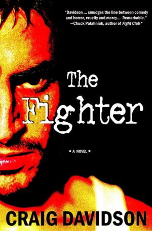 Cover of the book The Fighter by Robin Epstein
