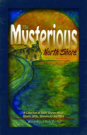 Cover of the book The Mysterious North Shore by Brandon Terrell