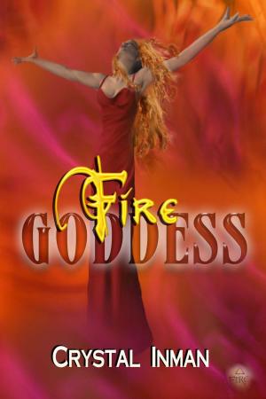 Cover of the book Fire Goddess by Annette Snyder