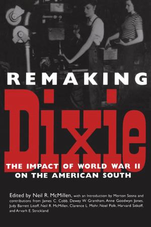 Cover of the book Remaking Dixie by Richard Carlin