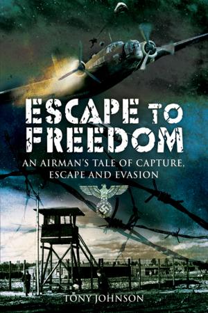 Cover of the book Escape to Freedom by Nick Robins