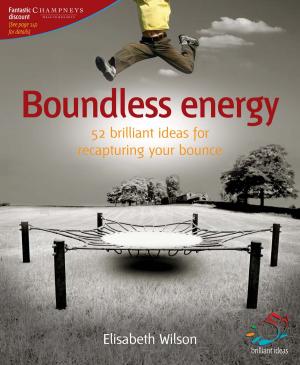Cover of the book Boundless Energy by John Smith, José Llinares