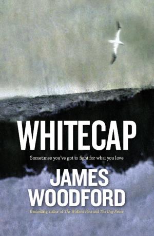 Cover of the book Whitecap by Brian Coman