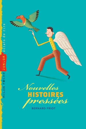 Cover of the book Nouvelles histoires pressées by Bernard Friot