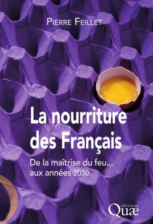 Cover of the book La nourriture des Français by Michel Girin, Emina Mamaca