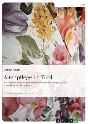 Cover of the book Altenpflege in Tirol by Gebhard Deissler