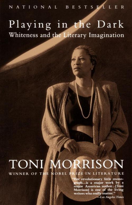 Cover of the book Playing in the Dark by Toni Morrison, Knopf Doubleday Publishing Group