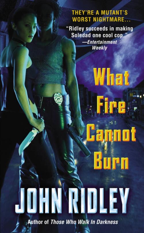 Cover of the book What Fire Cannot Burn by John Ridley, Grand Central Publishing