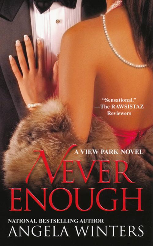 Cover of the book Never Enough, A View Park Novel by Angela Winters, Kensington Books