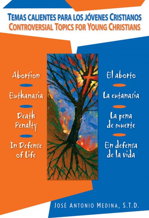 Cover of the book Controversial Topics for Young Christians/Temas calientes para los jóvenes cristianos by Medina, José Antonio, Liguori Publications