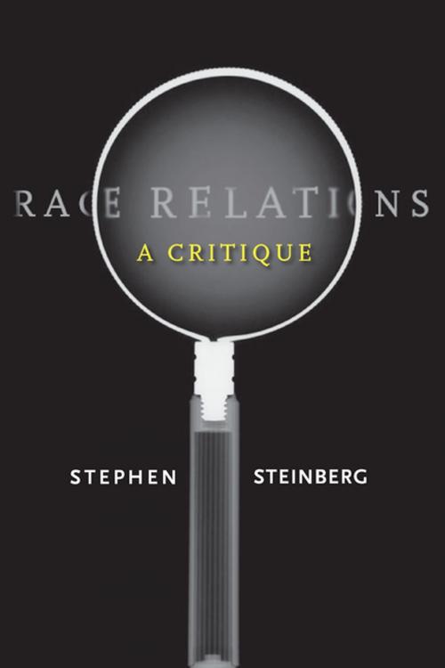 Cover of the book Race Relations by Stephen Steinberg, Stanford University Press