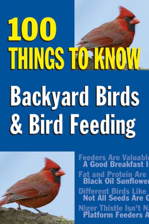 Cover of the book Backyard Birds & Bird Feeding by Sandy Allison, Stackpole Books