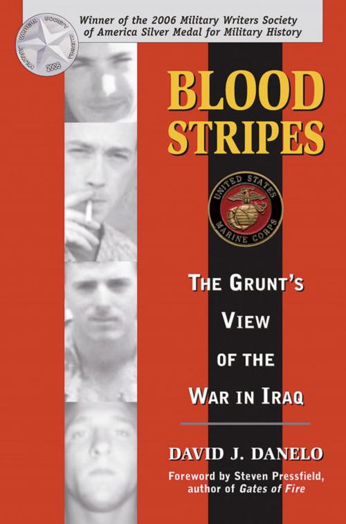 Cover of the book Blood Stripes by David Danelo, Stackpole Books