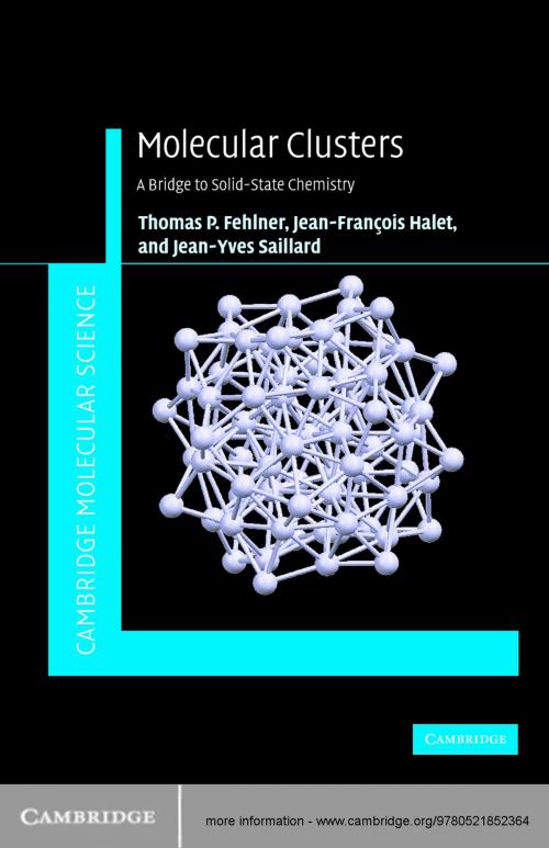Cover of the book Molecular Clusters by Thomas Fehlner, Jean-Francois Halet, Jean-Yves Saillard, Cambridge University Press