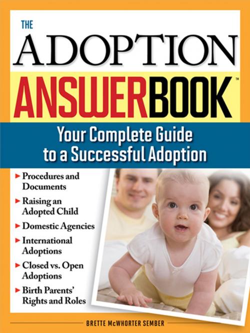 Cover of the book Adoption Answer Book by Brette McWhorter Sember, Sourcebooks