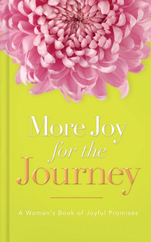 Cover of the book More Joy for the Journey by Thomas Nelson, Thomas Nelson