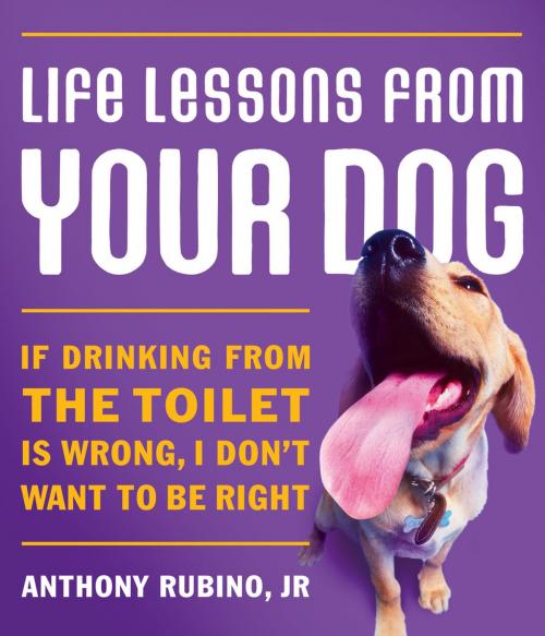 Cover of the book Life Lessons From Your Dog by Anthony Rubino, Thomas Nelson