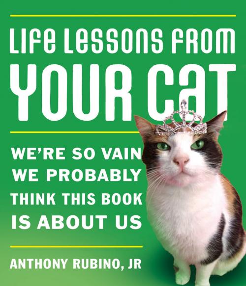 Cover of the book Life Lessons From Your Cat by Anthony Rubino, Thomas Nelson